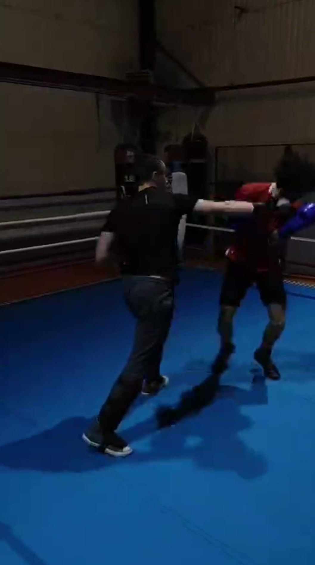 Sparring boxe